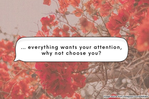 Quote "Everything wants your attention"