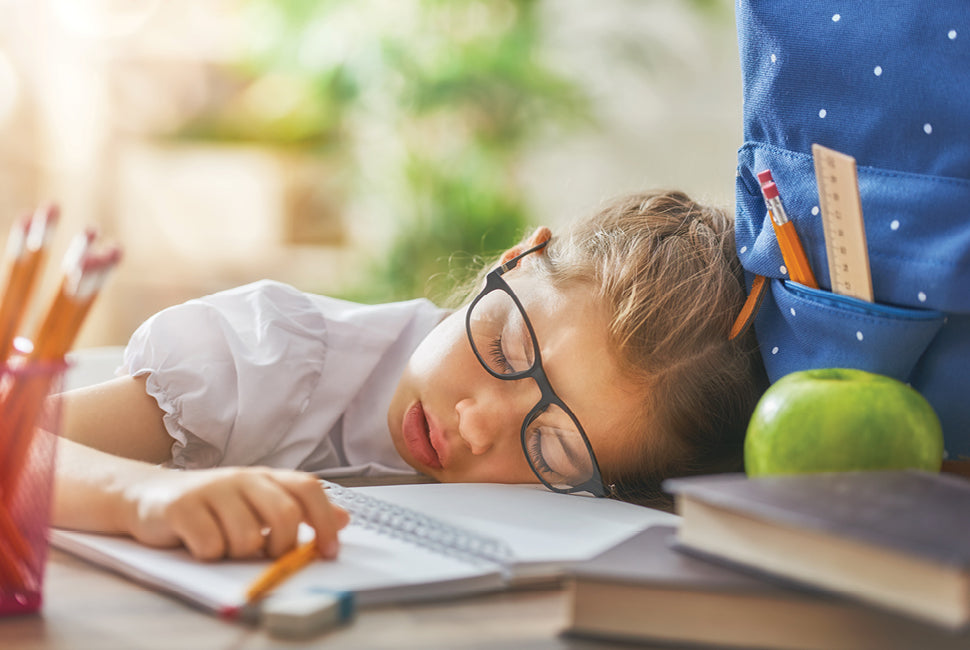 child sleeping while studying