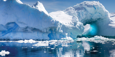 Antarctic Krill Oil – What Are the Benefits of Krill Oil & Can It Support Joint Health?*