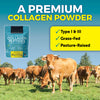Bovine Collagen