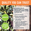 Organic Pumpkin Seeds